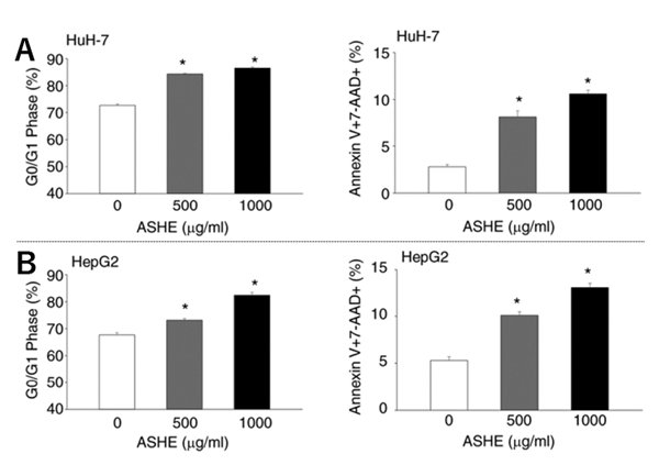 ASHE暴露時のHuH-7およびHepG2の細胞周期およびアポトーシスの解析